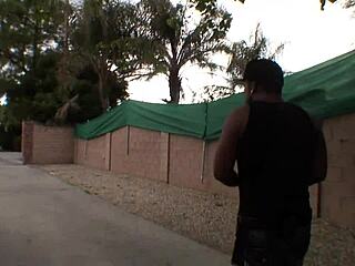 Blonde mom interacts with big black cock