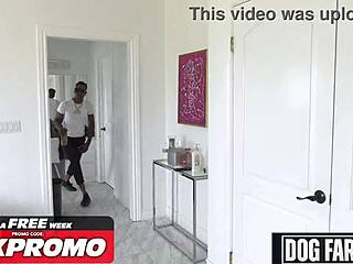 Busty babe adira allure gangbang compilation with monster cock