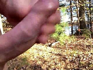 i'm clitlicker662 flashing and masturbating to orgasm in nature voyeur style