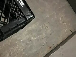 the white hooker got good head from the blonde milf sucking cock