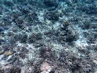 beauty shows off huge dildo, first time 😘