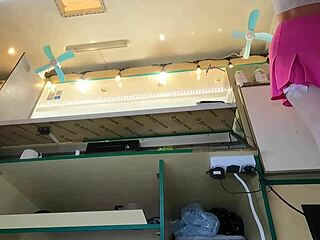 Szexi tinédzser 18+ lopva upskirt izgalmakat kap munkában naponta