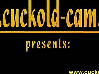 إلهة دومينا كوكولد تسيطر بموقف يدي عنيف بين الأعراق وقذف على طيز