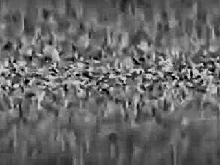 Nikki Blake se draži sama v vroči studijski tuš sceni