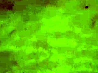 Sucking My Balls With Deep Passion.