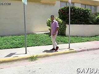 gay guy shows off his weenie in porn