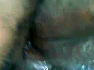 this video from 2014 shows some intense fucking action