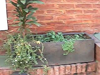 Venkovní MILF močí v divokém přírodním prostředí.