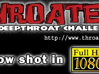 i love cock sucking bitches