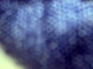 her sucking cock in blowjob scene