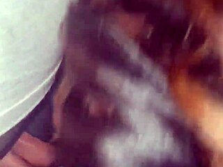 her sucking cock in blowjob scene