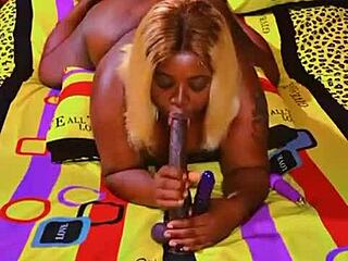 sundaydogood614 update 589