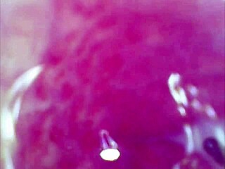 i massaged beatriz sampaio in lingerie, she squirted needing cool guy with preferred dick.