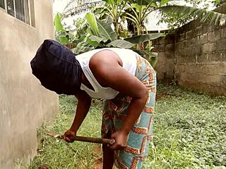 No input for 817276, skipping.