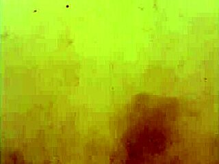 No input for 816597, skipping.