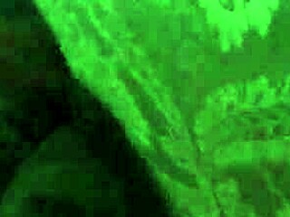 No input for 816438, skipping.