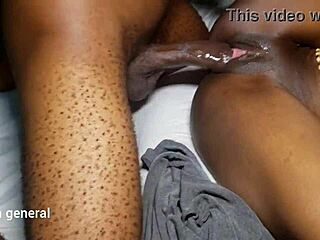 No input for 817787, skipping.