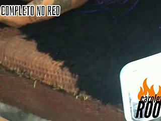 No input for 816544, skipping.