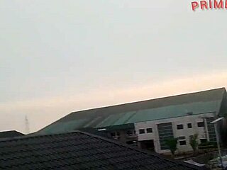 No input for 816491, skipping.