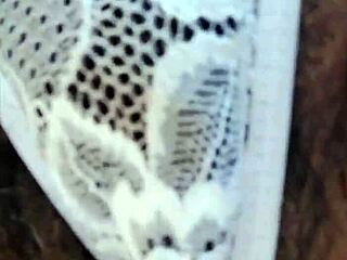 No input for 817603, skipping.