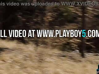 No input for 817265, skipping.