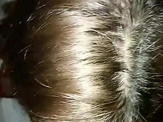 No input for 817358, skipping.