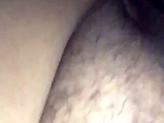 No input for 817964, skipping.