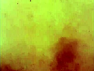 No input for 816597, skipping.