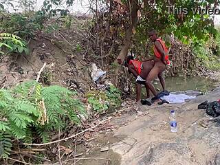 No input for 818712, skipping.