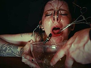 No input for 819598, skipping.