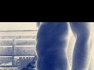 No input for 821037, skipping.