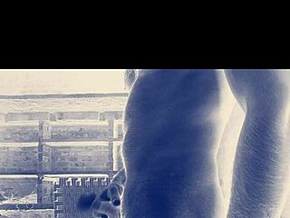 No input for 821037, skipping.