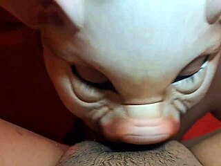 No input for 822094, skipping.