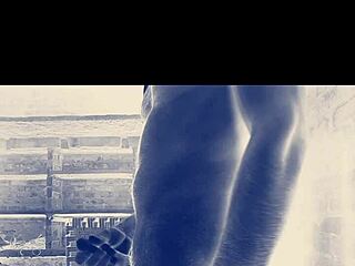 No input for 821037, skipping.