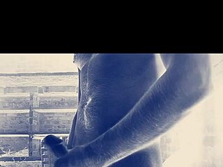 No input for 821037, skipping.