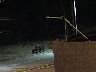 Couple Caught On Beach Security Camera