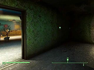 Telo Bobrov's European Curves