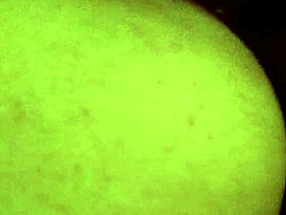 erika's bent over doggystyle adventure