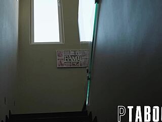 interior design behind renato leya desantis