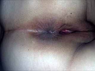 showing my little pussy to all of you?