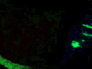 i am germayne flores de roman, an unfaithful married woman from puebla las animas