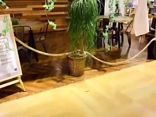 Tochigi Strawberries and Hot Springs Trip