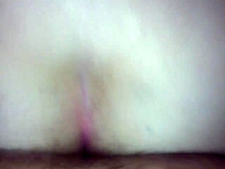 Comendo um cu gostoso de quatro