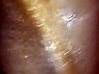 Fun Porn Making With Blowjob!