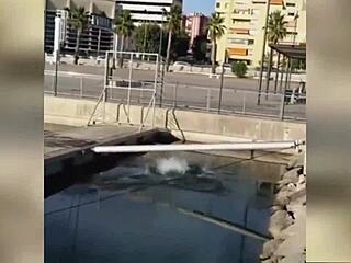 How to flip her over hard in quarantine?