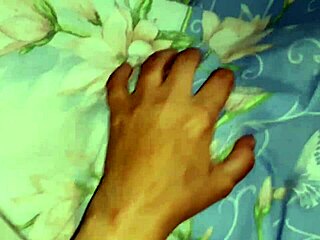 Lick Neighbors' Pussies!