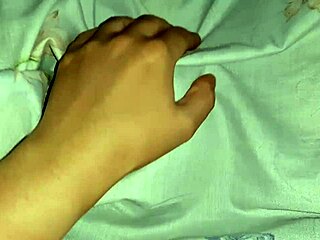 Lick Neighbors' Pussies!