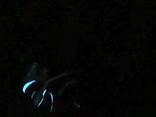 Scarlett johnson under blacklight in intense pov sex