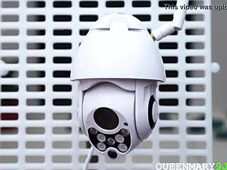 Wife caught fucking on home CCTV webcam