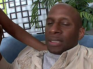 Hot Sexy Ebony Quickie